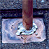 Enlarged View